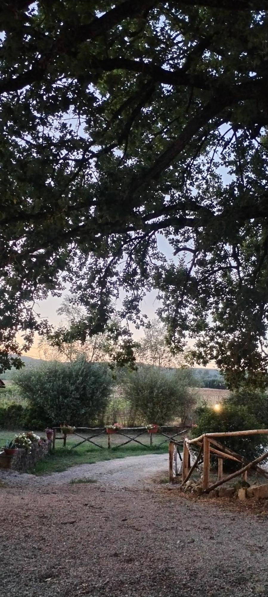 I Salici Agriturismo Badia Agnano Eksteriør bilde