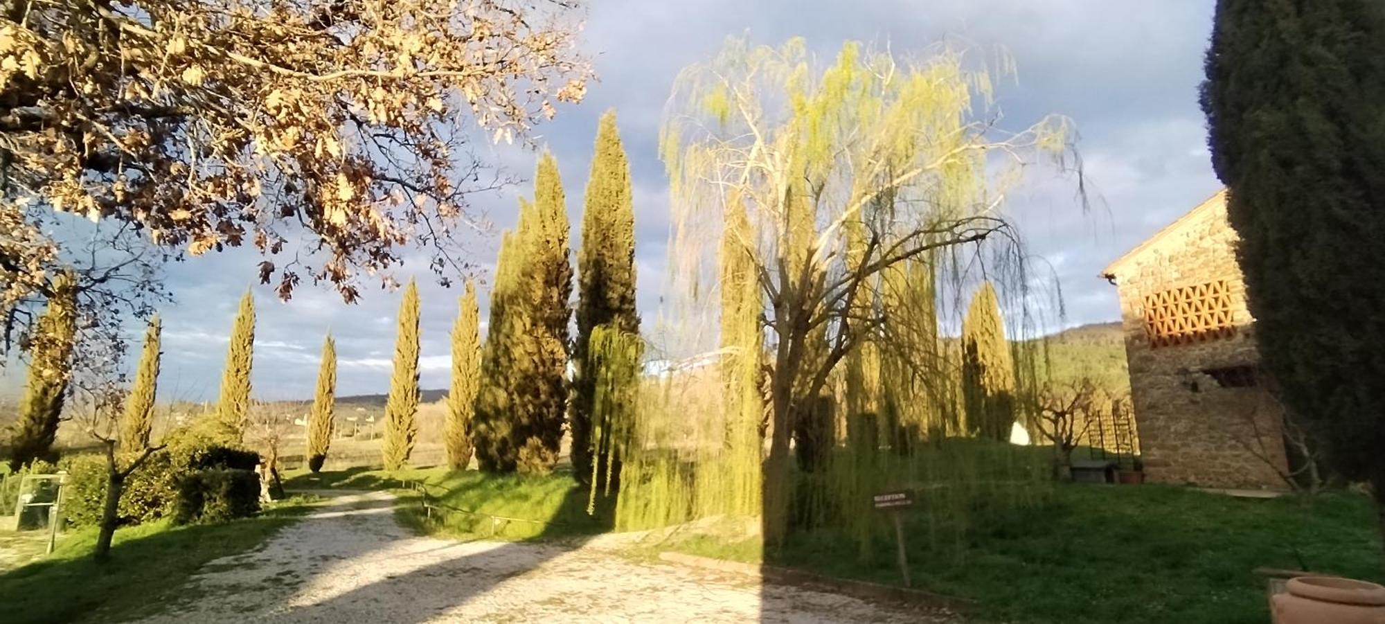 I Salici Agriturismo Badia Agnano Eksteriør bilde